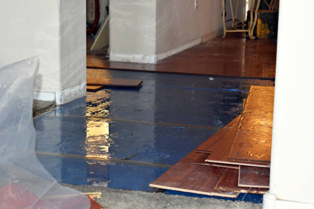 Professional Basement Flood Cleanup technician working in Rosedale, WA